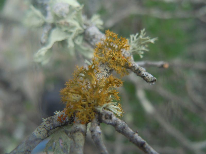 ....da Monte Moro (OT)